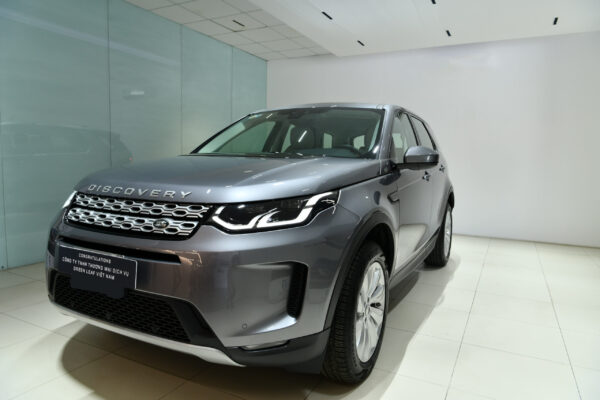 Dòng xe VIP